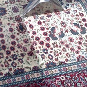 Expert rug stain removal and cleaning North Shore