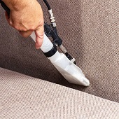 Upholstery cleaning experts serving North Shore
