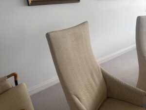 Leather Cleaning Services North Shore