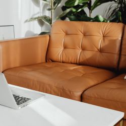 Leather Sofa cleaning North Shore
