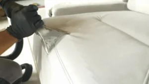 Professional-Leather-Cleaning