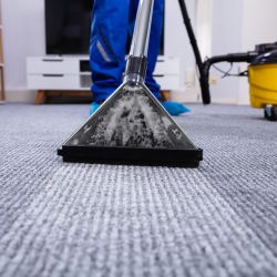 Residential Carpet Cleaning North Shore